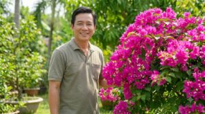Phân biệt cách chăm sóc hoa giấy trồng đất và trồng chậu
